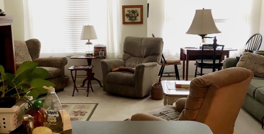 Living/Dining ara