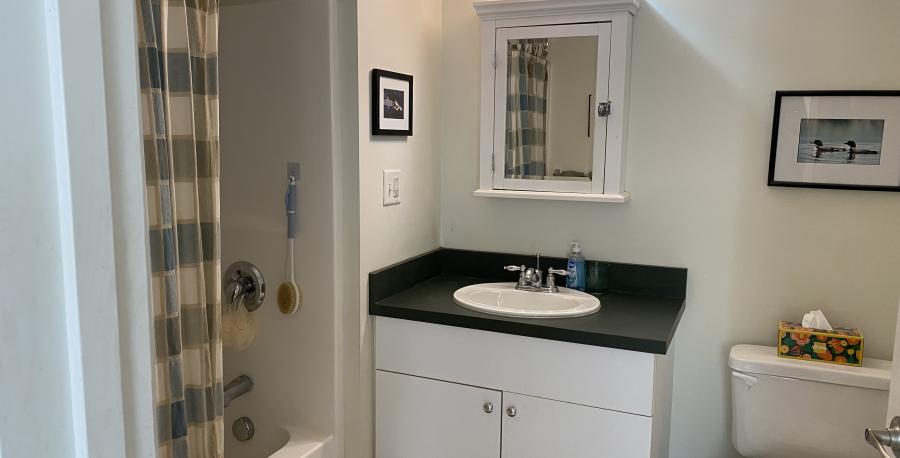 Bathroom 1