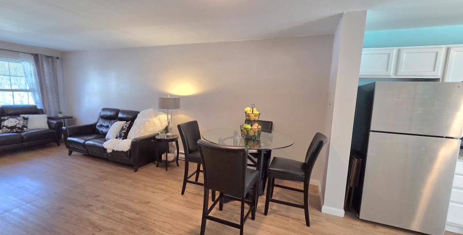 Living area and kitchen